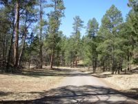 Gravel road south of Collins Park